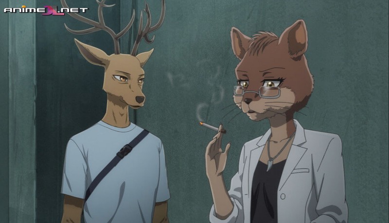 Beastars Final Season Español Latino en español
