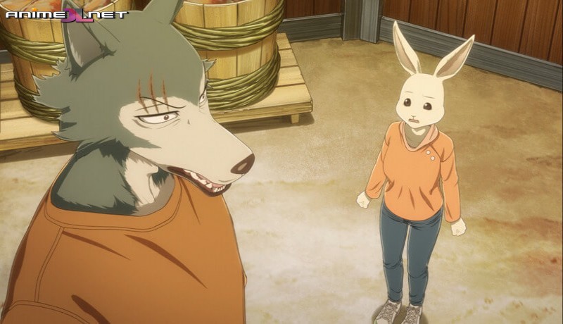 Beastars Final Season Español Latino en latino