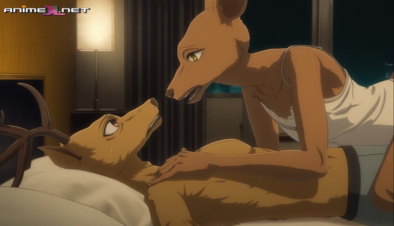 Beastars Final Season Español Latino full