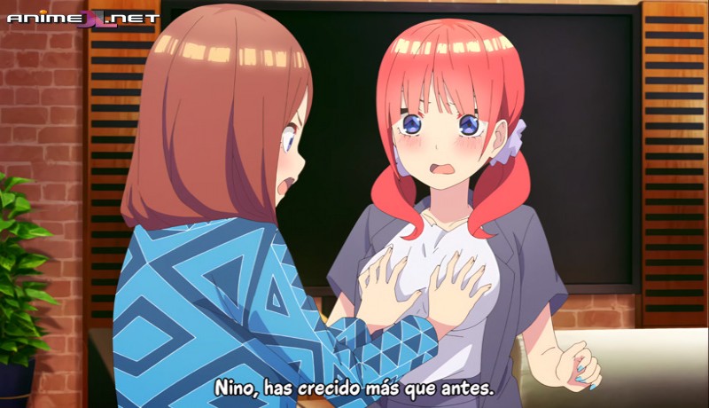 ver Gotoubun no Hanayome Ova